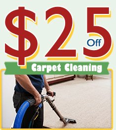 Professional Carpet Cleaning